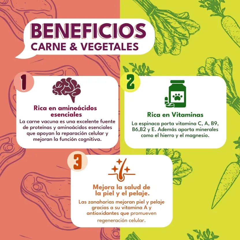 Snacks de Carne Vacuna & VegetalesThumbnail 4