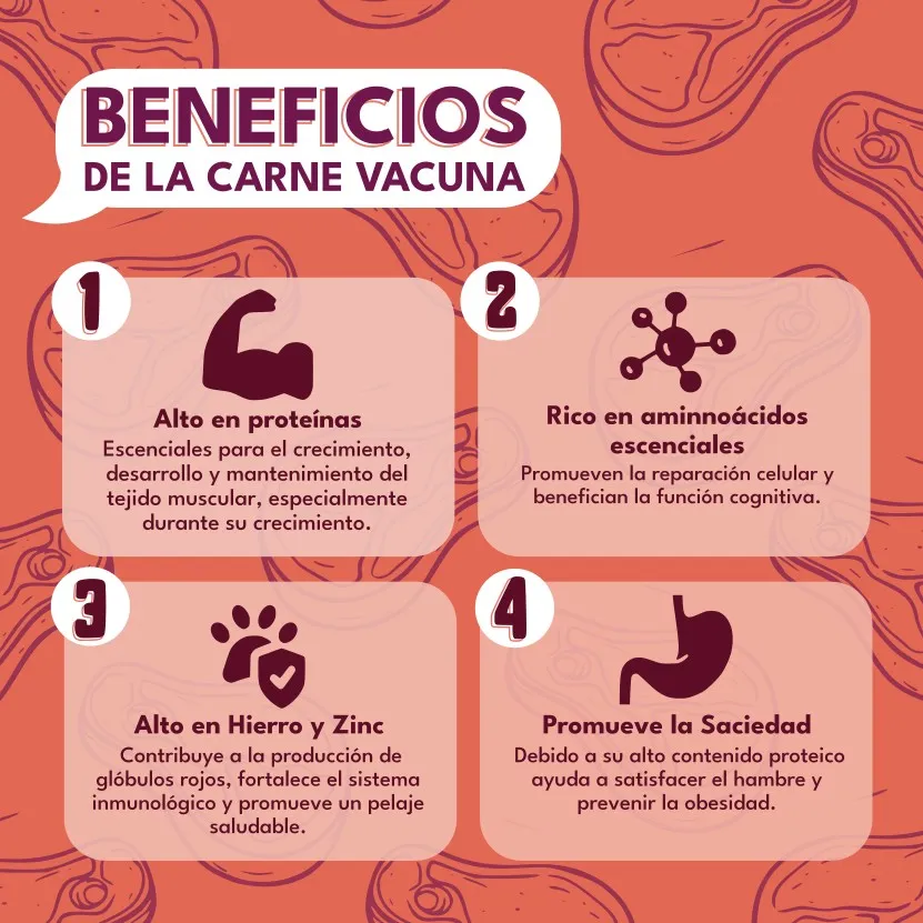 Snacks de Carne VacunaThumbnail 4